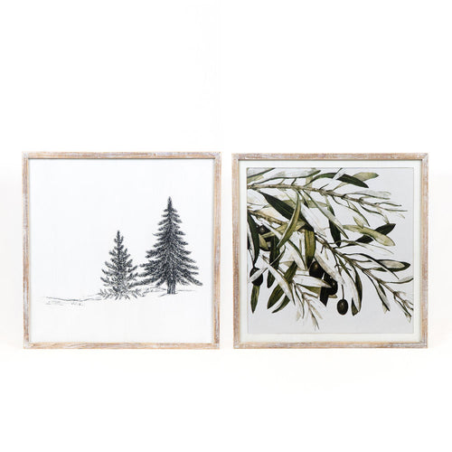 Pine Tree | Olive Branch 24